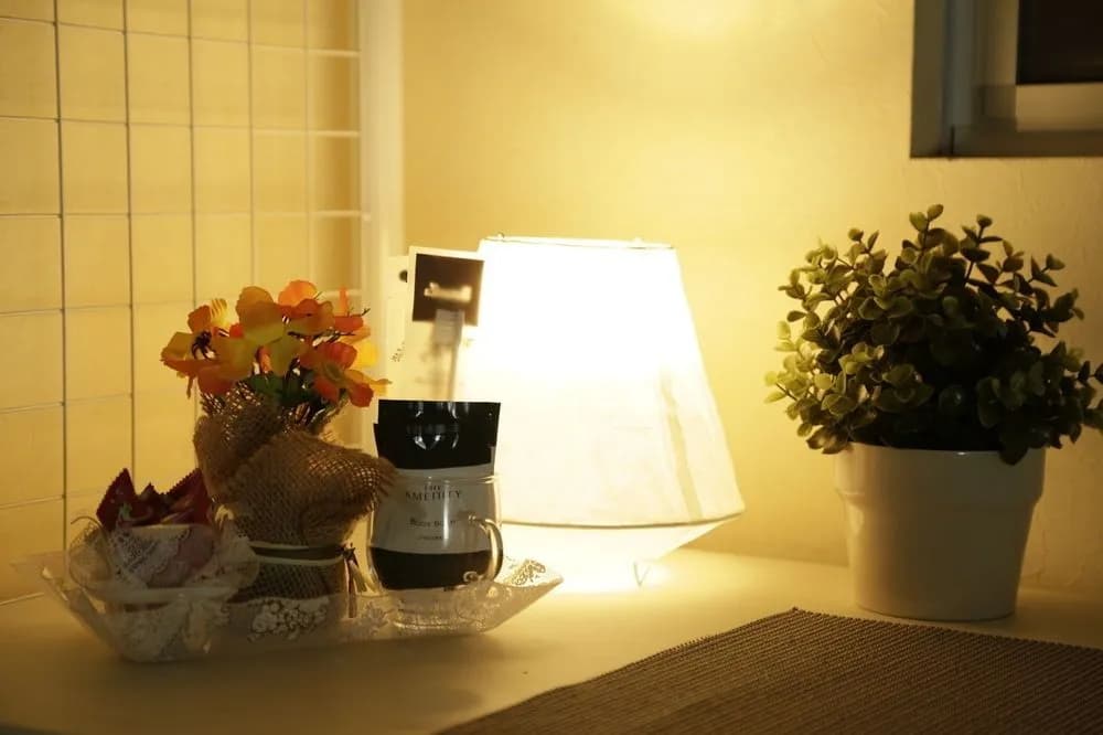 Raise House - photo 6