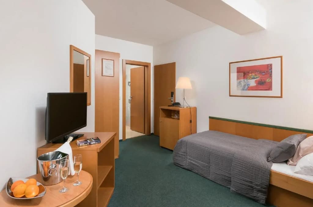 Hotel Troja - photo 39