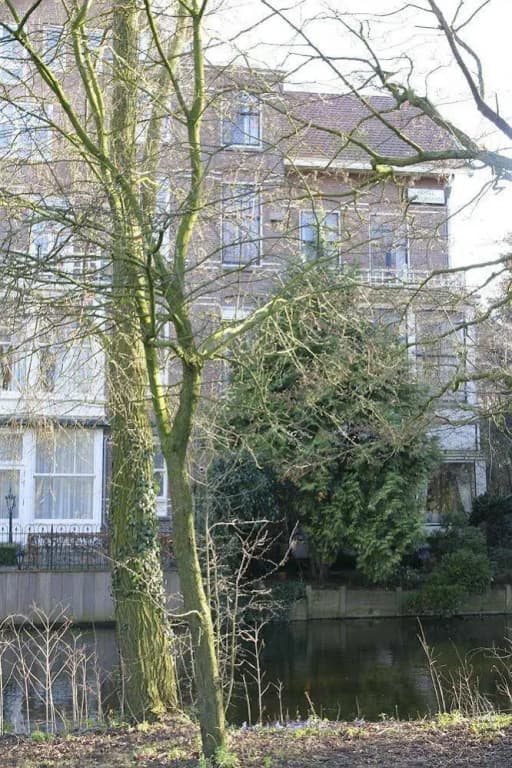 Borgmann Villa - photo 16