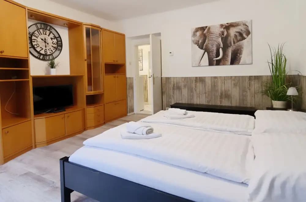 Manu Apartment - photo 15