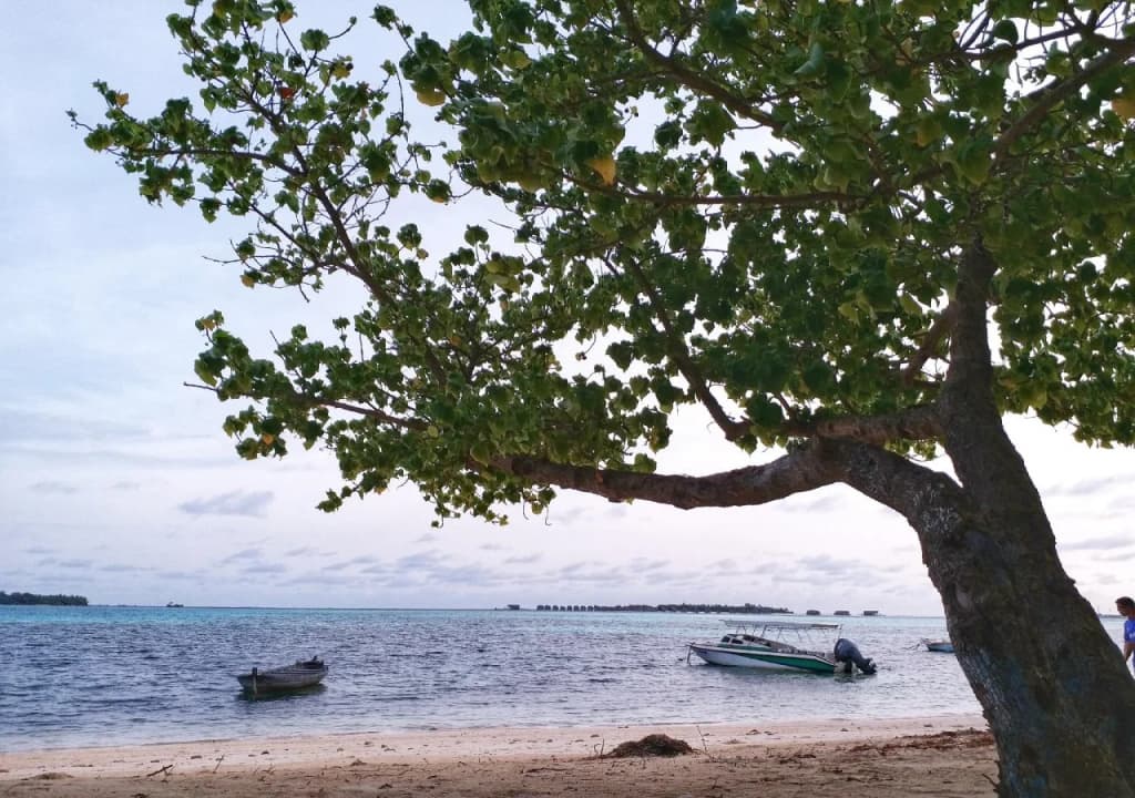 Medhufaru Inn - photo 3
