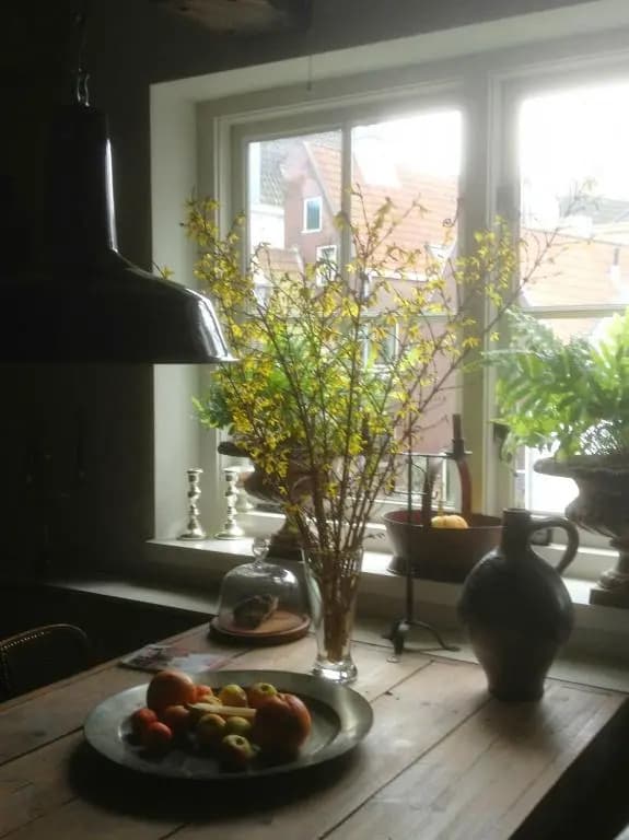 Blauwe Hoorn - photo 4