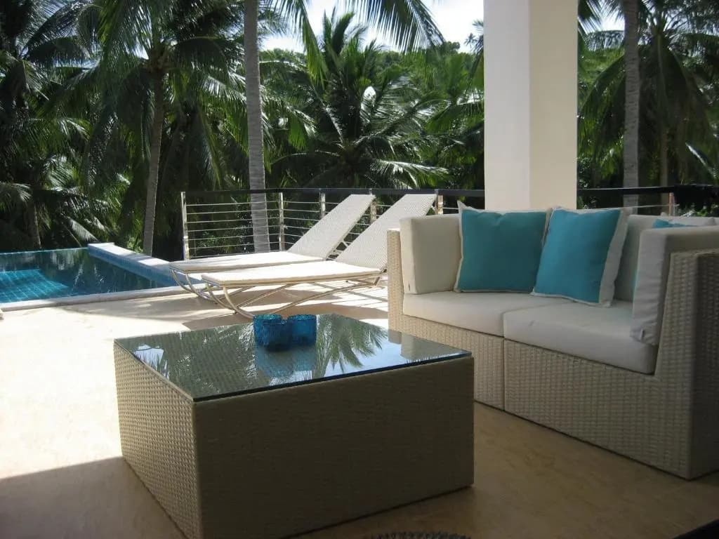 Wild Palms - photo 2
