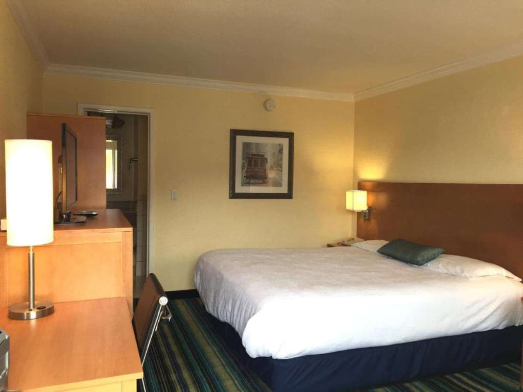 Surf Motel - photo 16