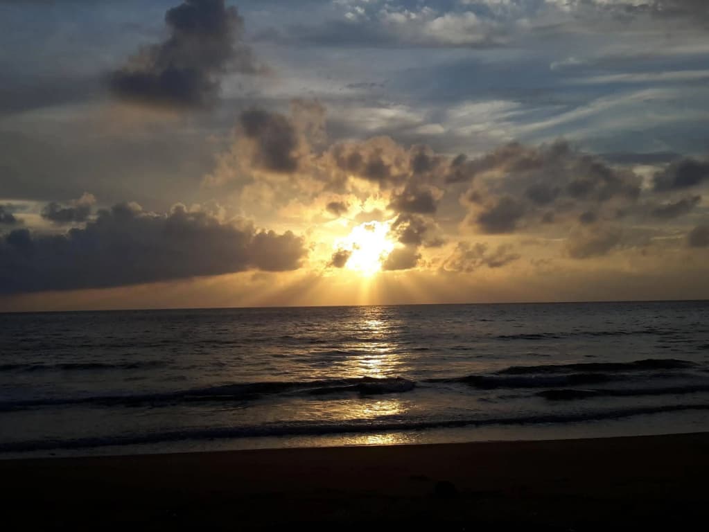 Tamara Resort - photo 6