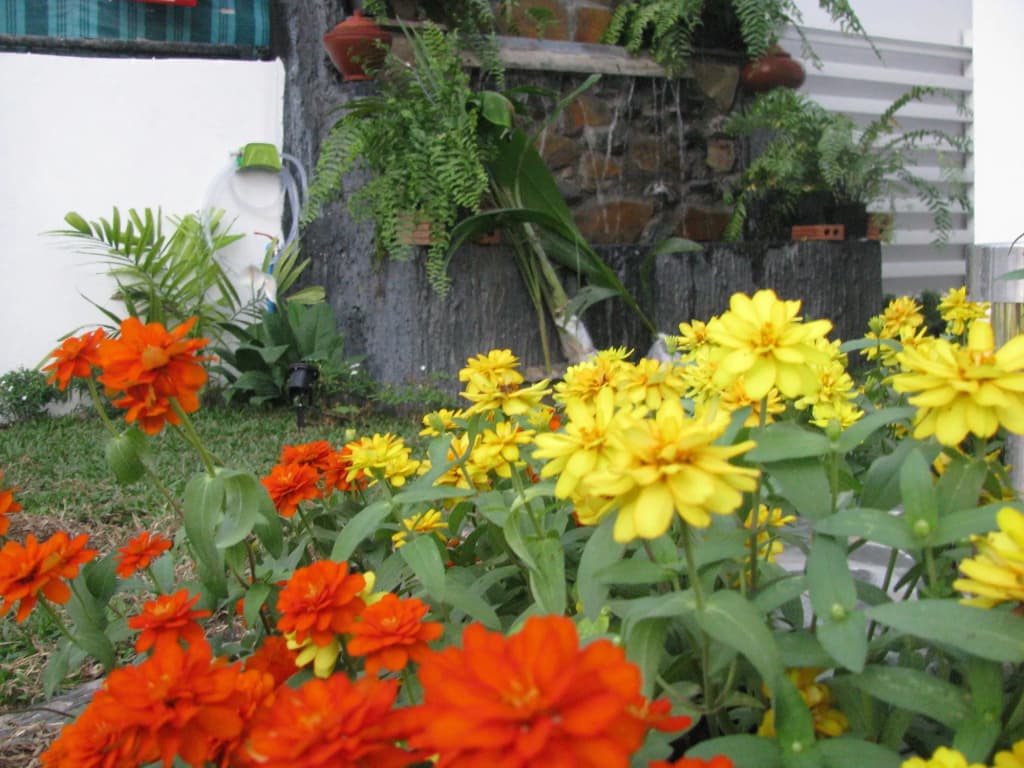 Gusto House - photo 12