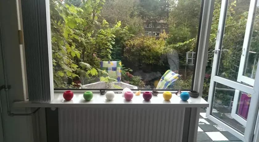 Roses Garden - photo 2