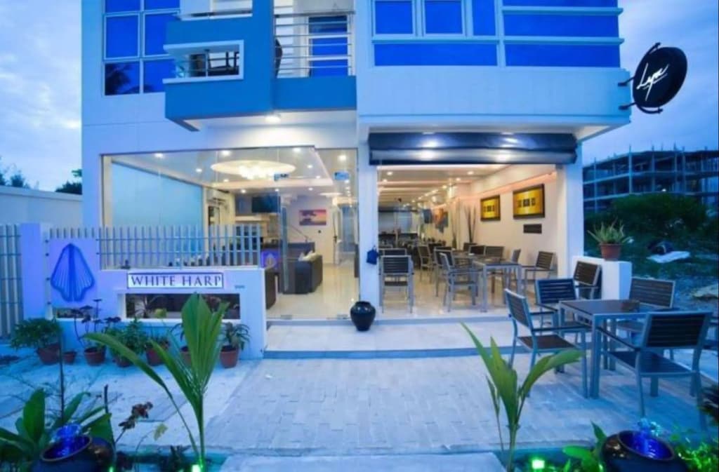 The White Harp Beach Hotel - photo 24