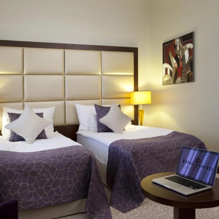 Kosher Hotel KING DAVID Prague - photo 47