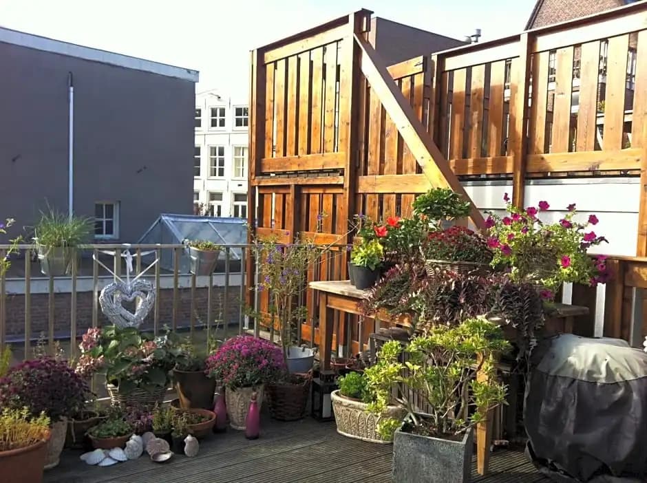 Prince On The Roof - photo 11
