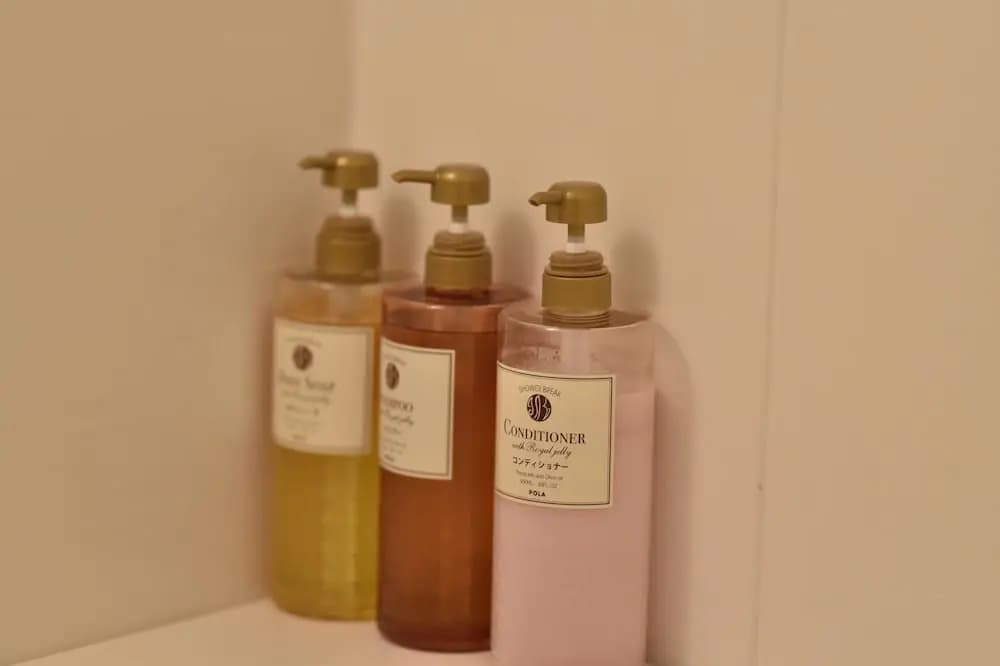 Ohma Hotel Nihonbashi 3 - photo 23