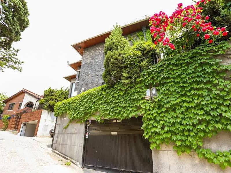 Guest J House - photo 1