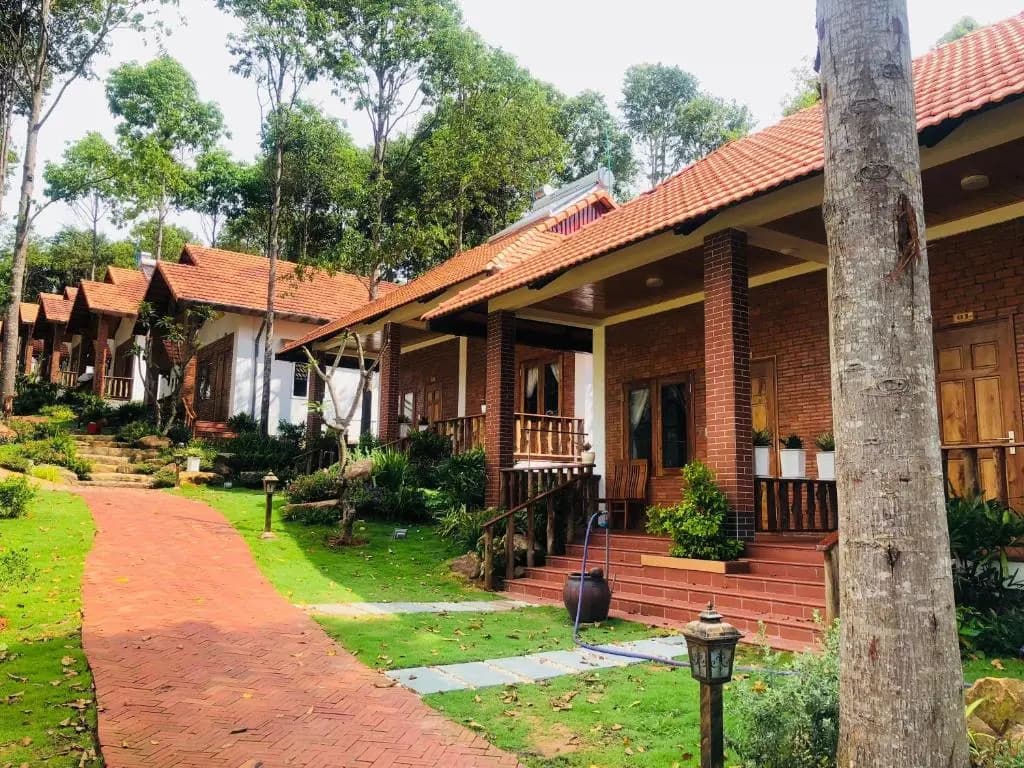 Đoi Sao Phu Quoc - photo 16