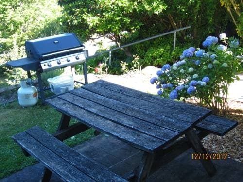 The Cecil Guesthouse - photo 13