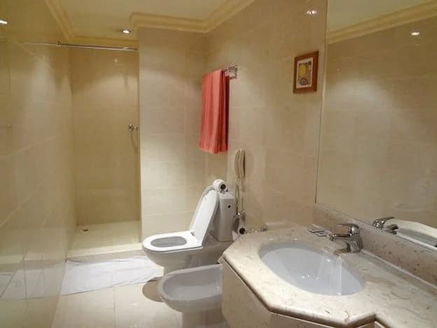 Qatar Palace Hotel - photo 7