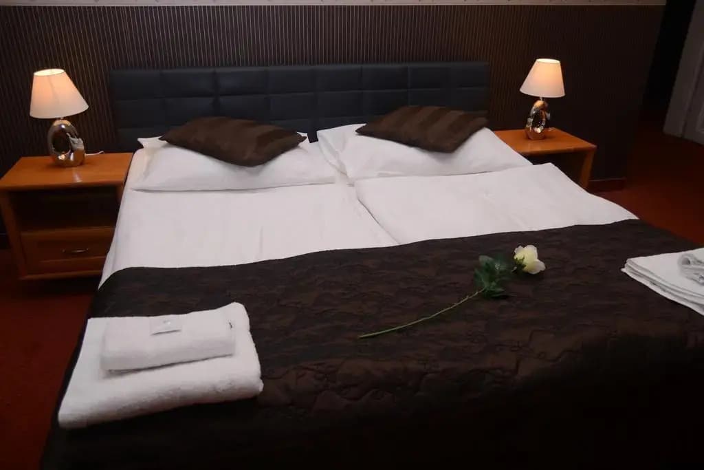 Hotel Venezia - photo 13