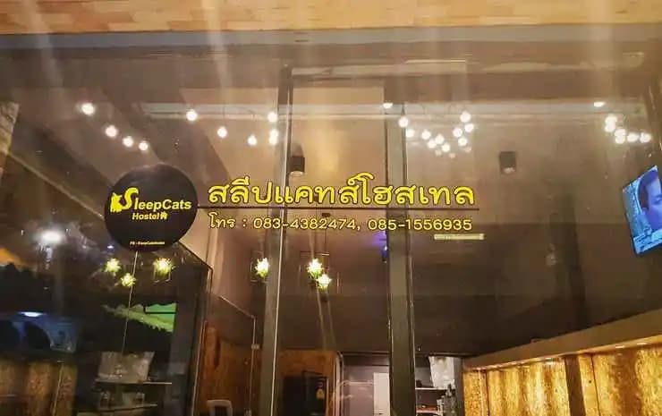 Sleepcats Hostel - photo 24