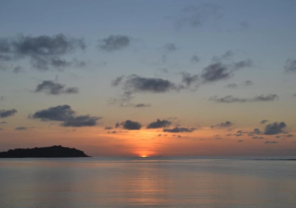 Palm Island - photo 15