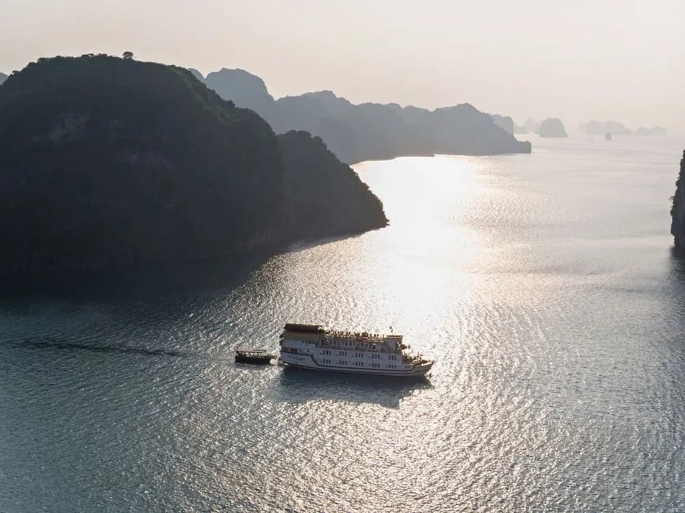 Paloma Cruise - photo 17