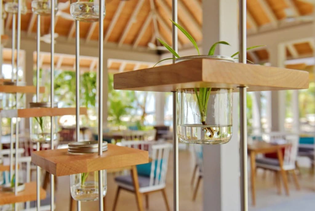 Niva Dhigali Maldives Hotel - photo 24