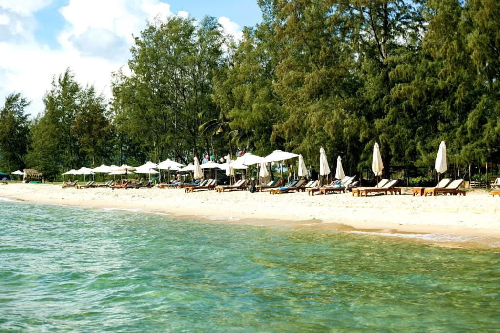 Camellia Resort & Spa - photo 19