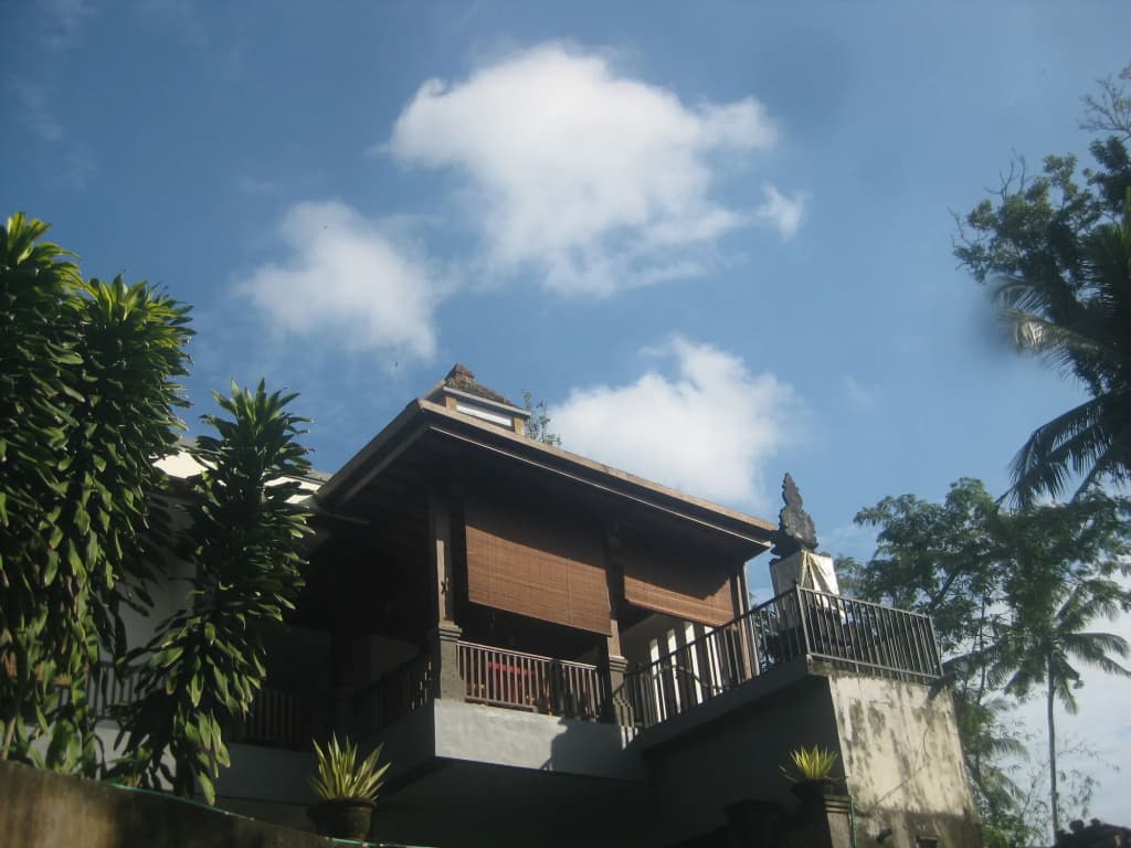 Villa Sonia Bisma - main photo