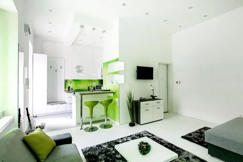 Zirnyi 9 Apartment - photo 17