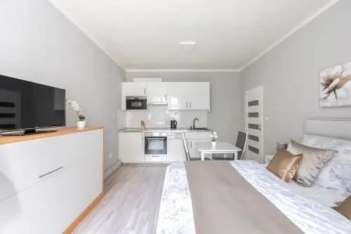 City apartment Slezská - photo 4
