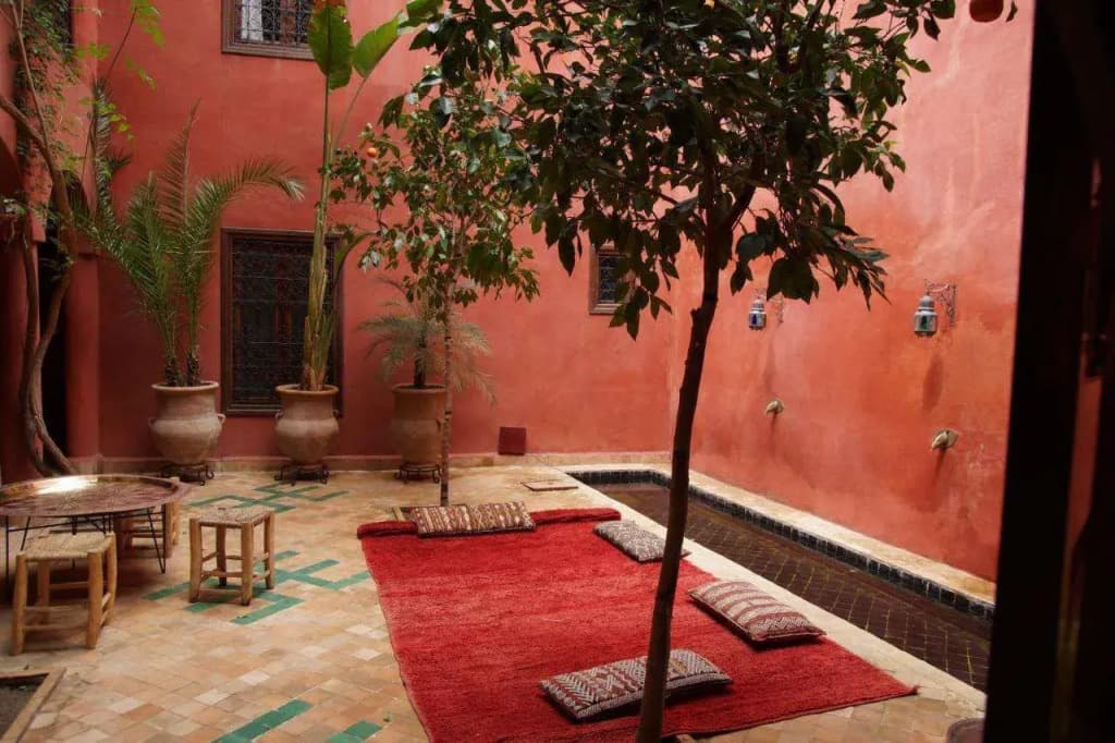 Riad Honey - photo 5