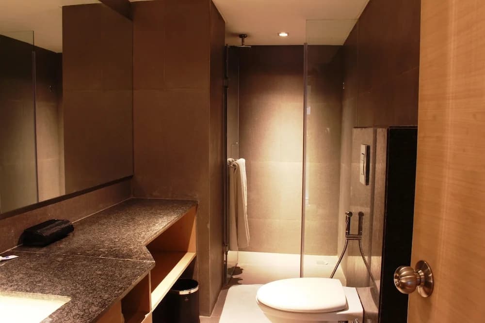 Swati Hotel - photo 8