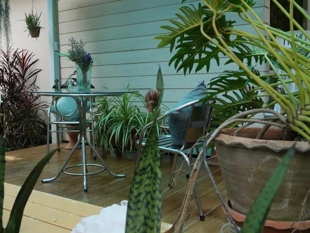 Reera Resort - photo 11