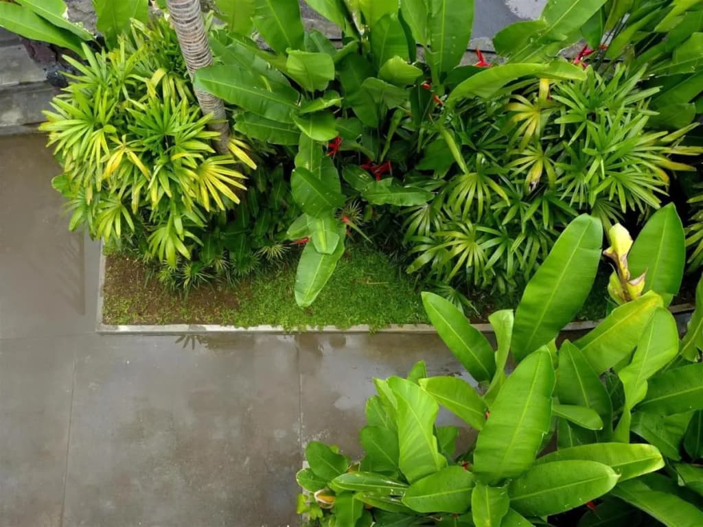 Sanora Villa Sanur by Ini Vie Hospitality - photo 49