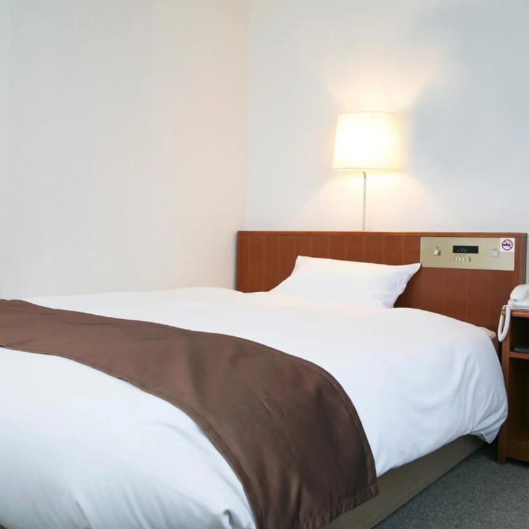 Tokyo Plaza Hotel - photo 44