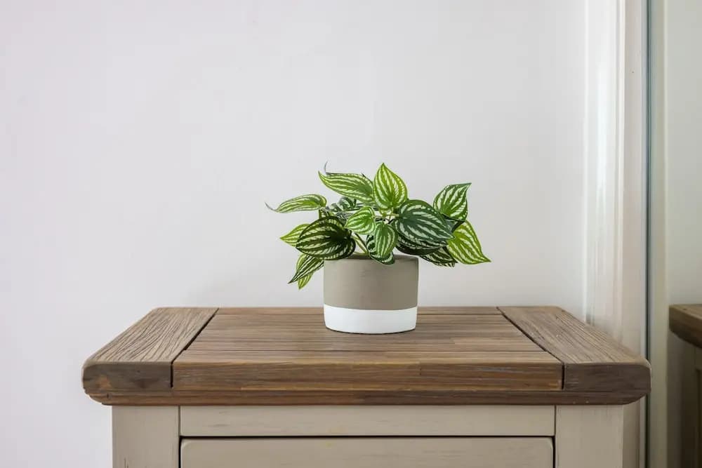 The Marylebone Collection - photo 13