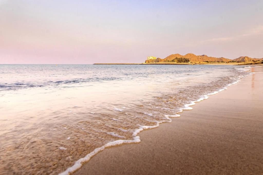 Royal Beach Hotel & Resort - photo 24