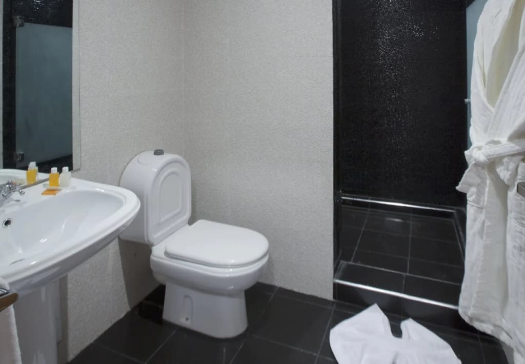 Yaad City Hotel - photo 10