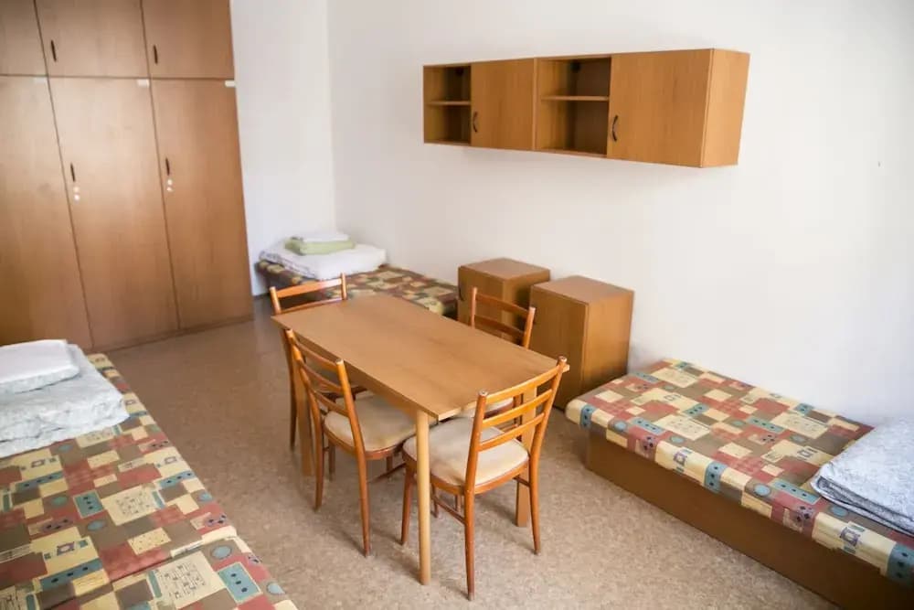 Dizzy Daisy Hostel - photo 5