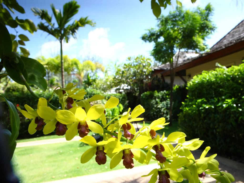 Pai Tan Villas - photo 17