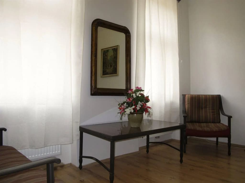 Old Vienna Apartments - photo 10