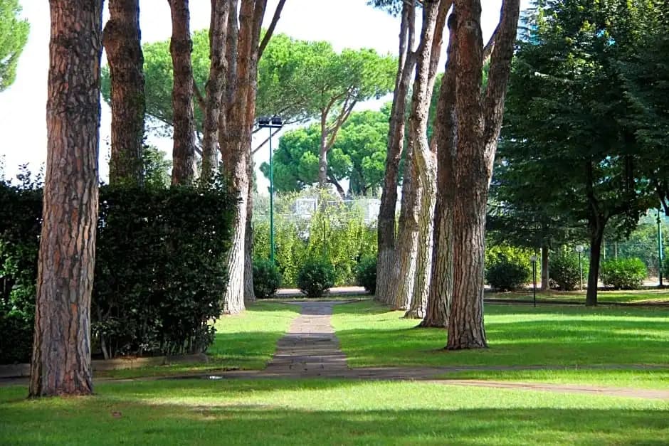 Serafico Guesthouse - photo 15