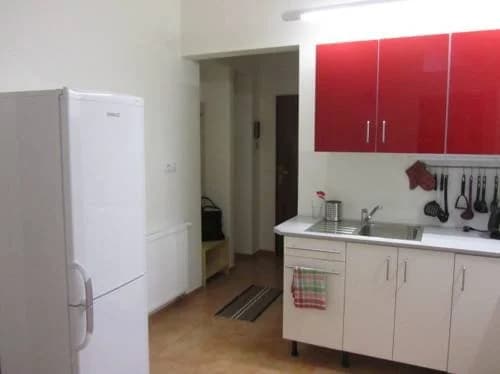 Apartment Vinohrady - photo 16