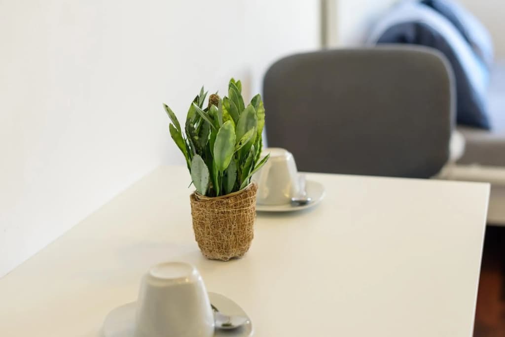 Vienna Living Apartment Hernals - photo 3
