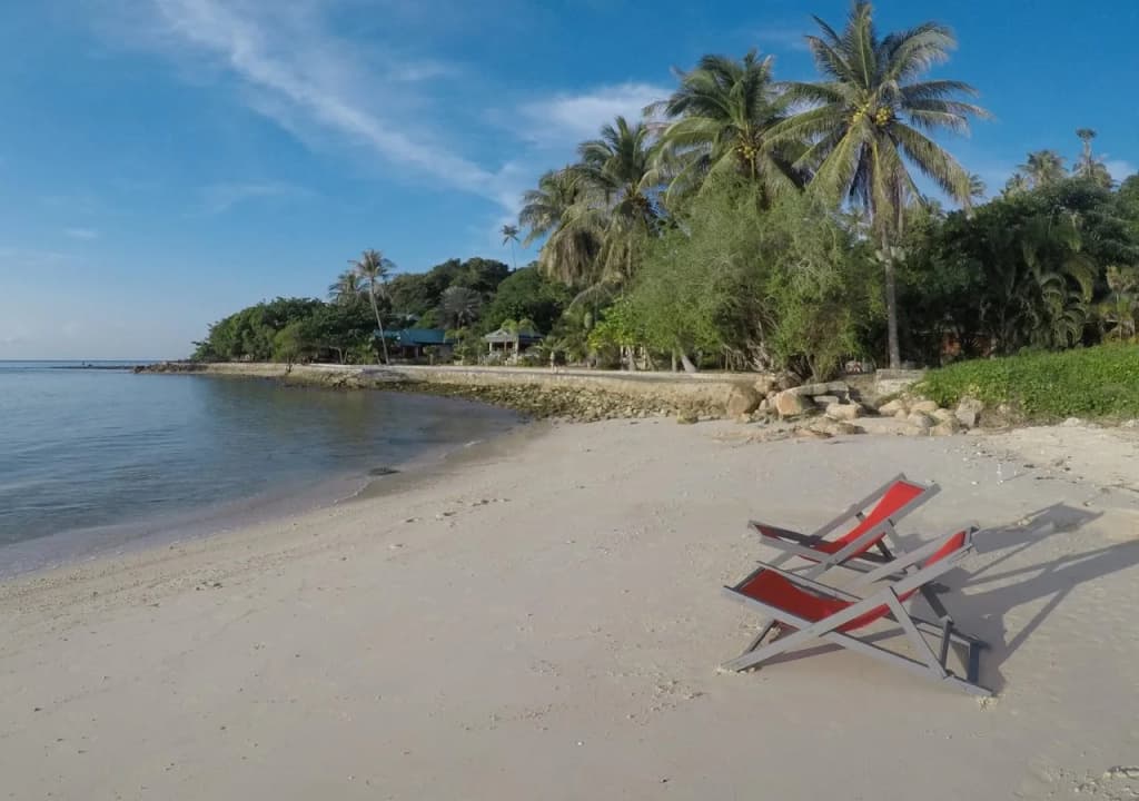 Dolphin Bay Beach Resort - photo 14