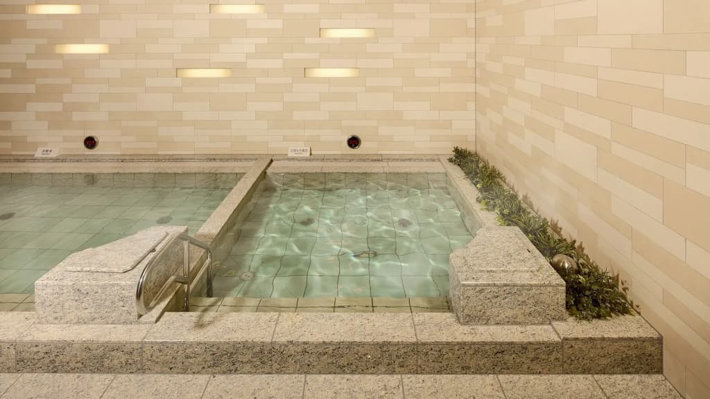 Hotel Villa Fontaine Grand Tokyo-ariake - photo 17