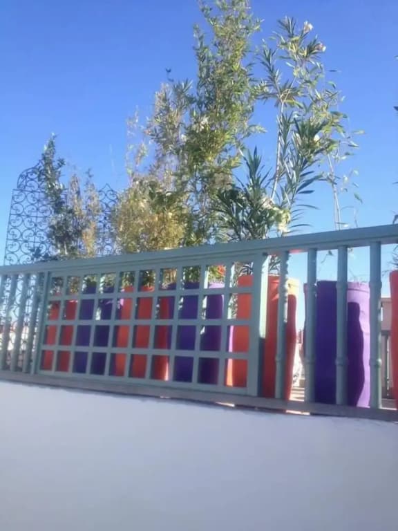Riad Manaoui - photo 1
