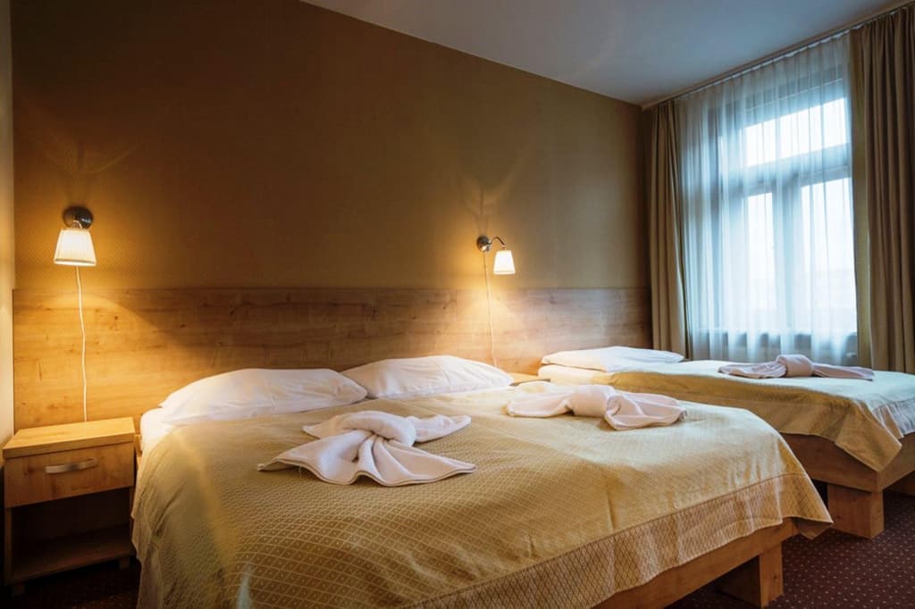 Hotel Superior Prague - photo 29
