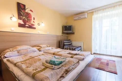 Mohacsi Guesthouse - photo 4