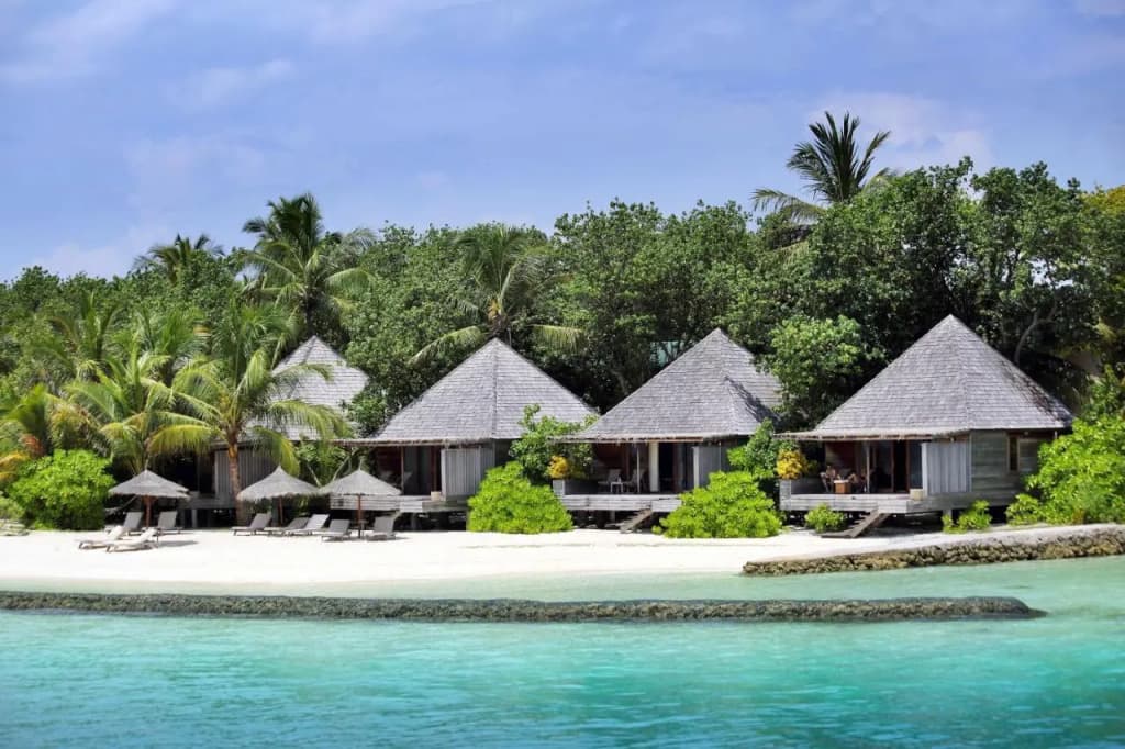 Gangehi Island Resort - photo 18