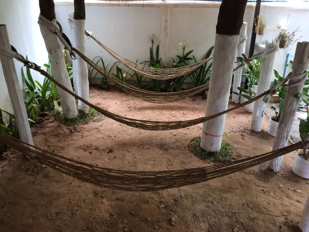 Eco-Home - photo 11
