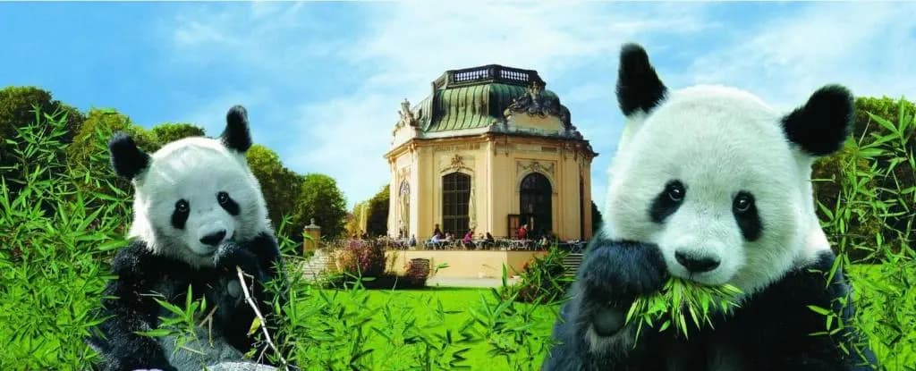 Zwischen Schönbrunn und dem City Center. Apt. 41 - photo 20